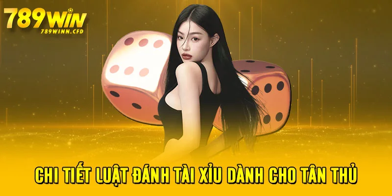 Chi tiết luật đánh Tài Xỉu dành cho tân thủ