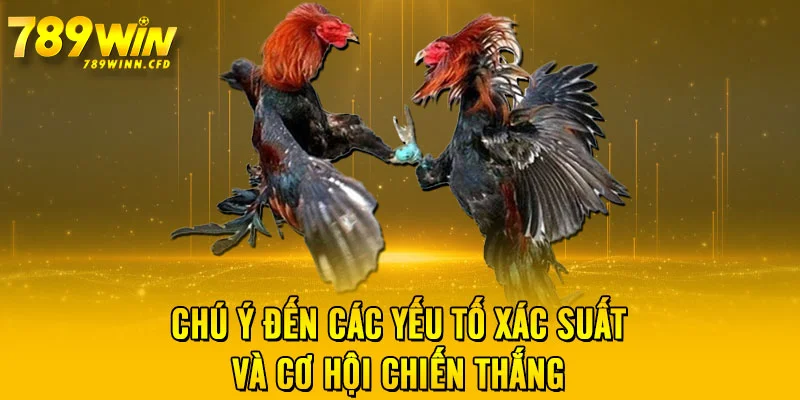 Chú ý đến các yếu tố xác suất và cơ hội chiến thắng