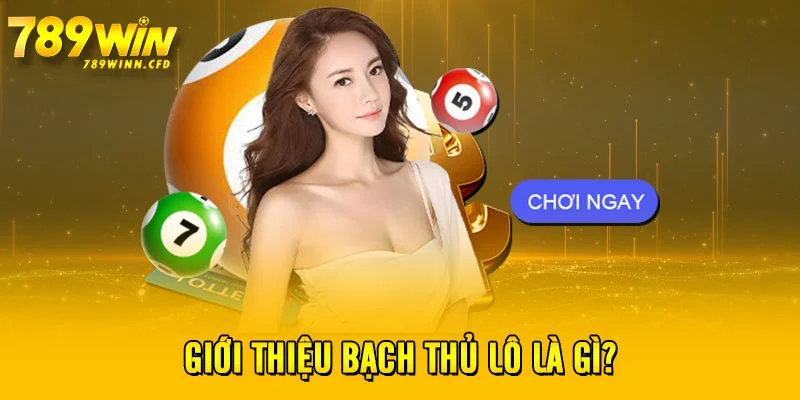 Giới thiệu bạch thủ lô là gì?