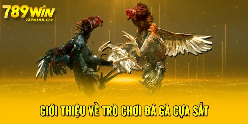 Giới thiệu về trò chơi đá gà cựa sắt