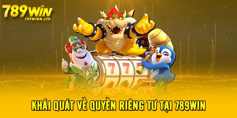 Khái quát về quyền riêng tư tại 789WIN