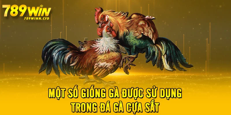 Một số giống gà được sử dụng trong đá gà cựa sắt