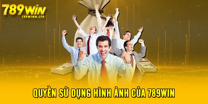 Quyền sử dụng hình ảnh của 789WIN