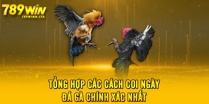 Tổng hợp các cách coi ngày đá gà chính xác nhất