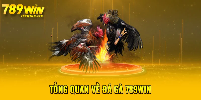 Tổng quan về đá gà 789WIN