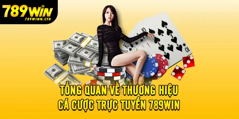 Tổng quan về thương hiệu cá cược trực tuyến 789WIN 