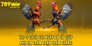 Top 3 Cách Coi Ngày Đá Gà Giúp Anh Em Trăm Trận Trăm Thắng