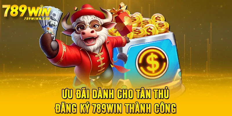 Ưu đãi dành cho tân thủ đăng ký 789WIN thành công 