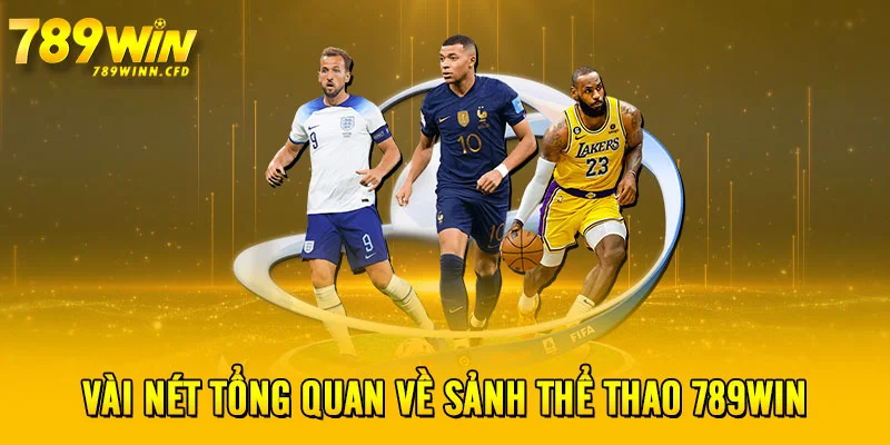 Vài nét tổng quan về sảnh thể thao 789WIN